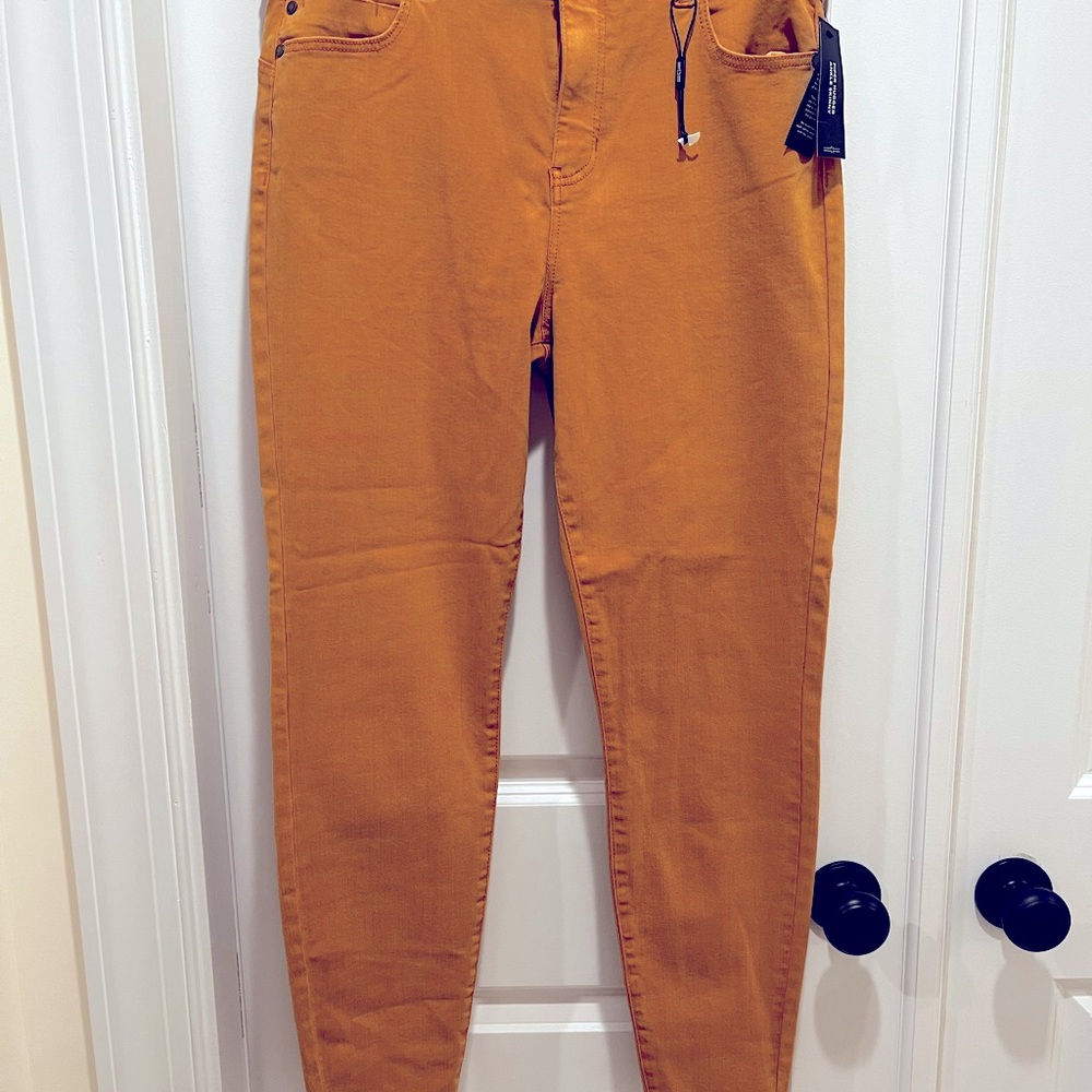 NWT Liverpool Piper Hugger Ankle Skinny Jean in Amber Dawn